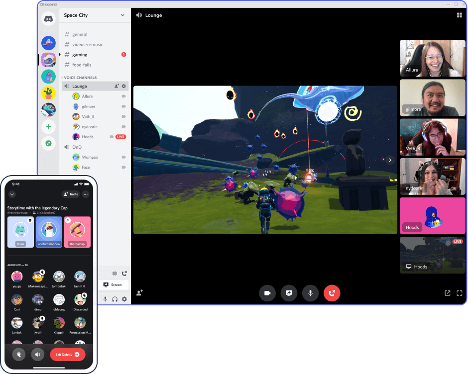 Screenshot of Discord's product